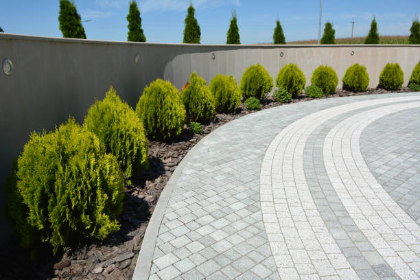 Reasons to Select Us for Your Driveway Paving Requirements in Cheraw, SC